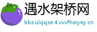 遇水架桥网